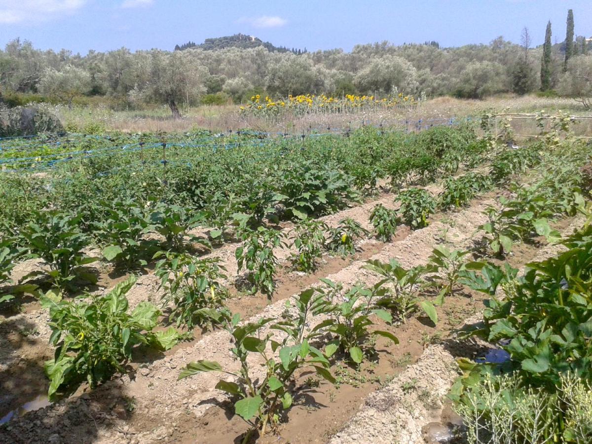 Вилла Aroggia Farm Xanthatai Экстерьер фото