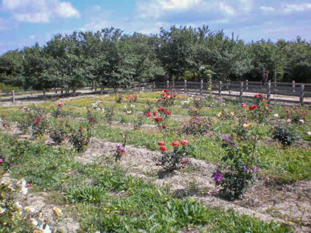 Вилла Aroggia Farm Xanthatai Экстерьер фото