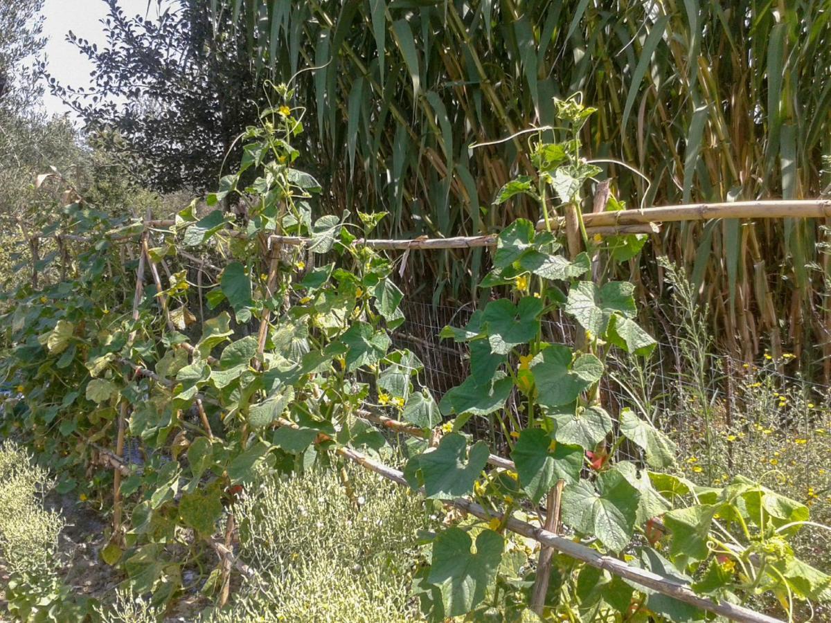 Вилла Aroggia Farm Xanthatai Экстерьер фото